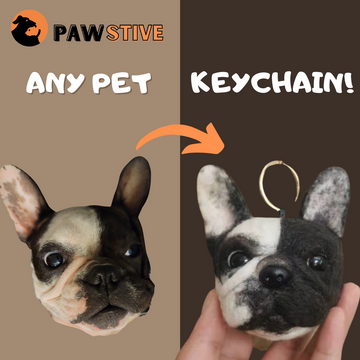 Pet Felted Keychain